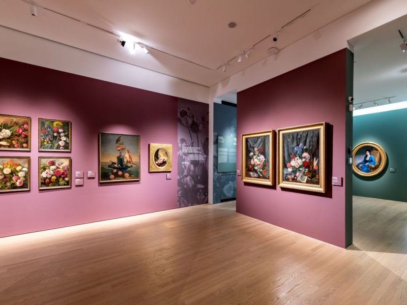 Palazzo Barbantini-Koch apre alla città come nuova sede de La Galleria BPER