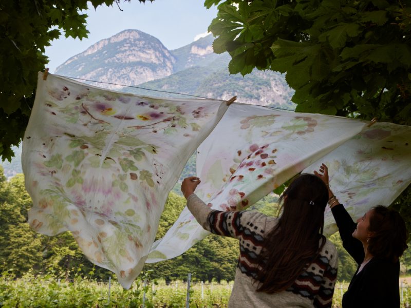 CHIARA CAMONI | Spiritelli (di Terra e Vegetazione)